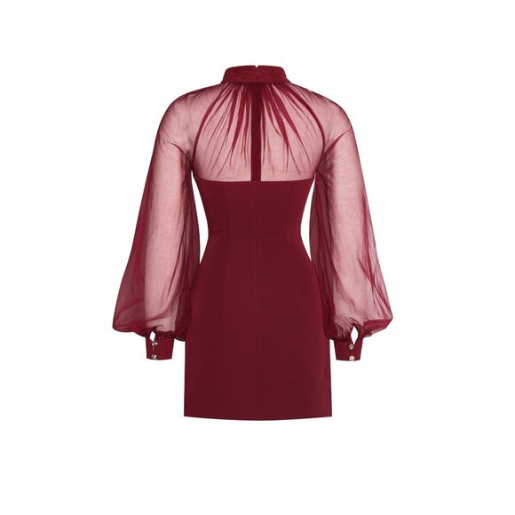 Tabi Red Mesh Sleeve Mini Dress - Picture 14 of 16